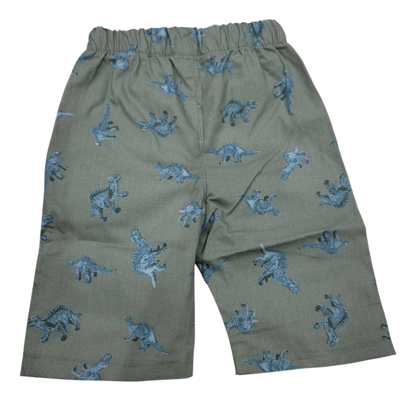 Dino Print Green Short